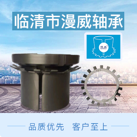 國產(chǎn)軸承